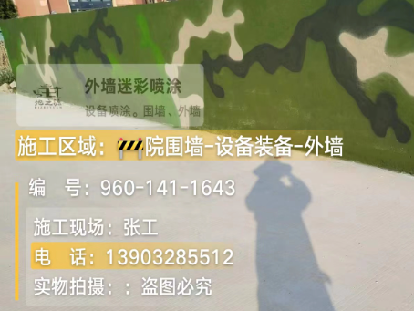 衢州 迷彩漆喷涂价格(按平方米计费)